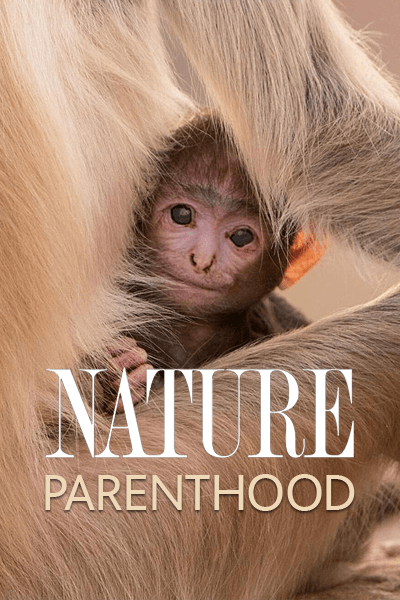 Nature Parenthood