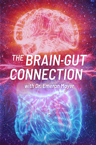 The Brain Gut Connection