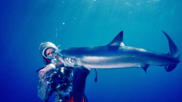 Promo images for Earth Focus Environmental Film Festival films