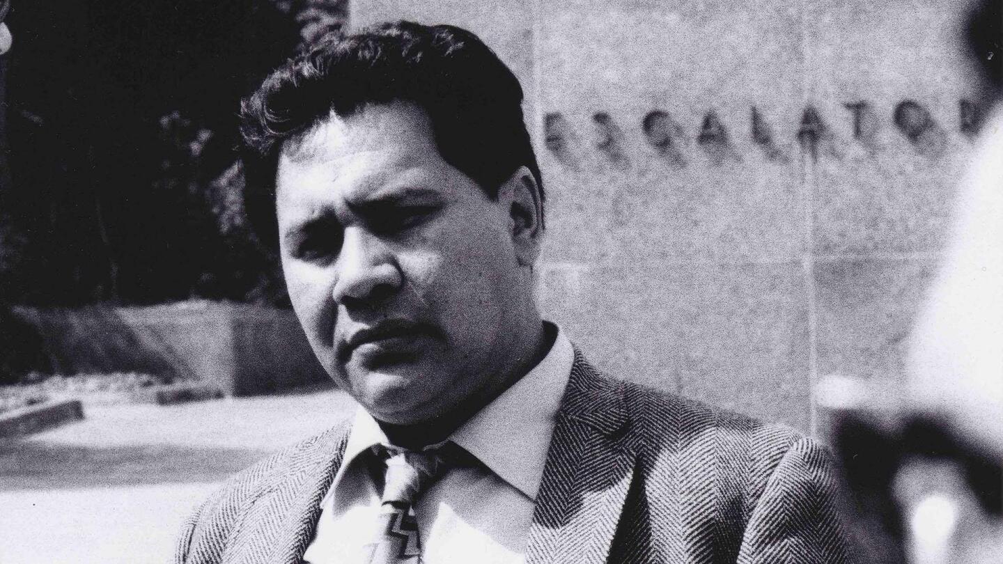 The Rise and Fall of the Brown Buffalo