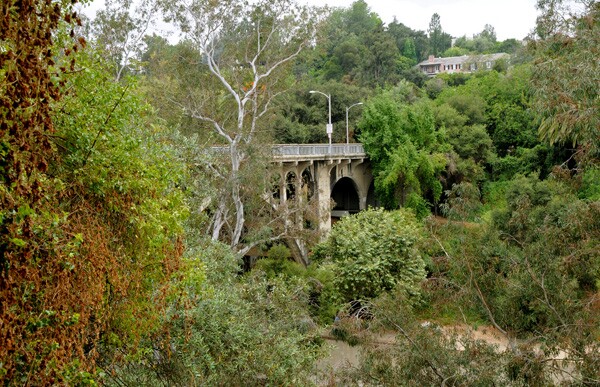 lower-arroyo.jpg