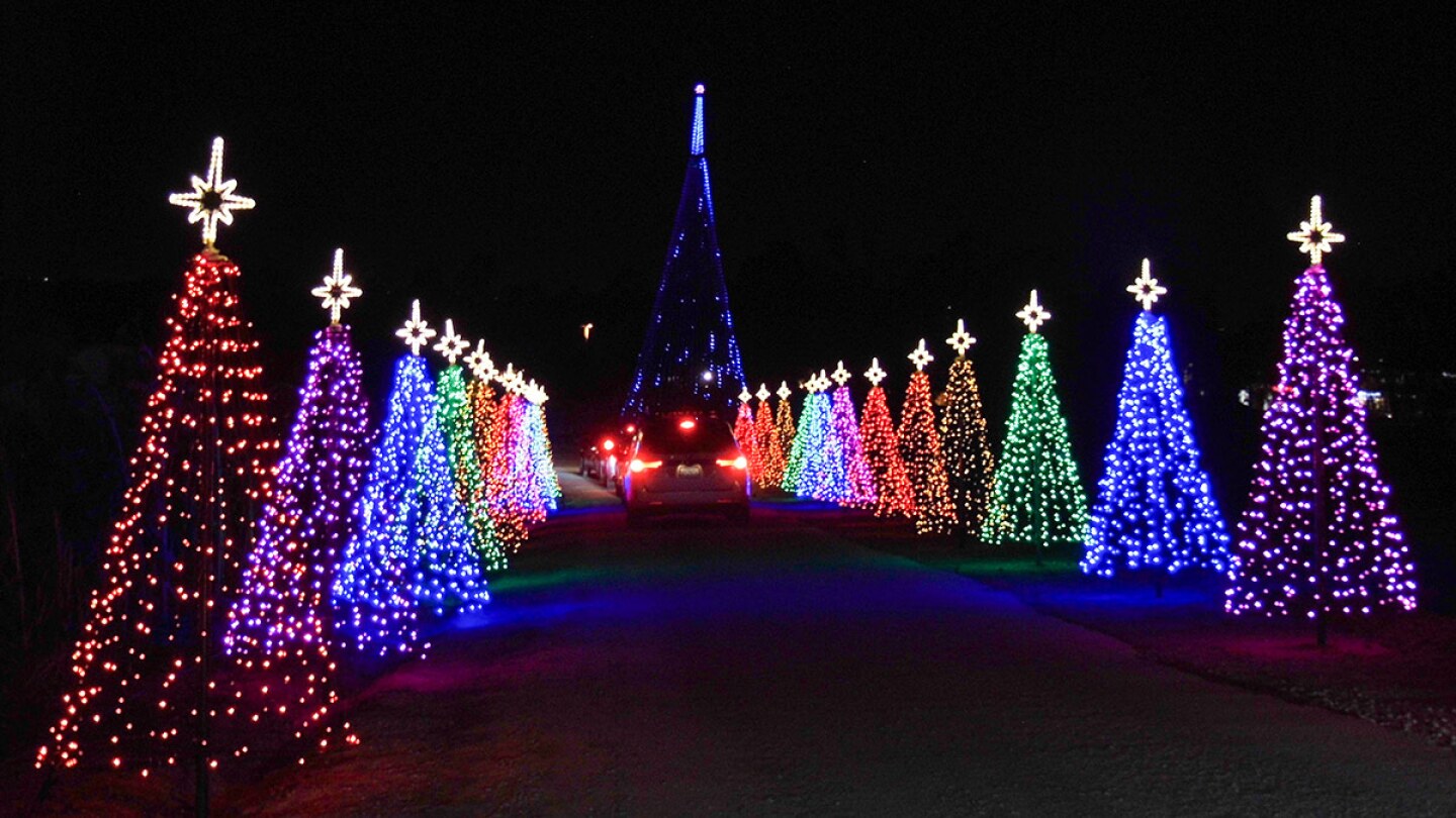 Two rows of colorfully lit Christmas trees at Hikari – A Festival of Lights at Tanaka Farms. | Sandi Hemmerlein