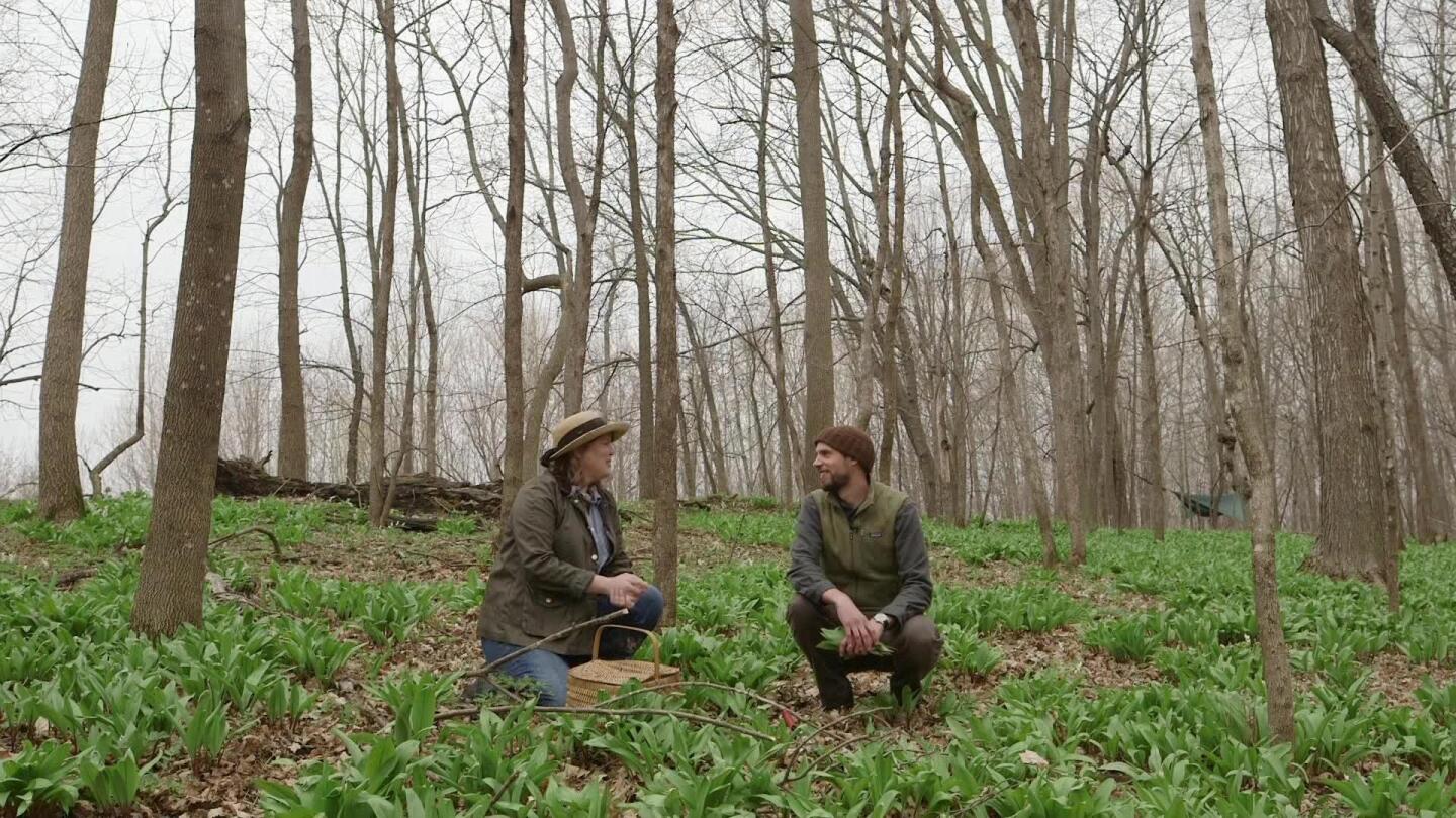 Two people squat in the woods, with a woven basket in front of one of them.