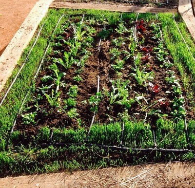 silverlakefarmsnhm