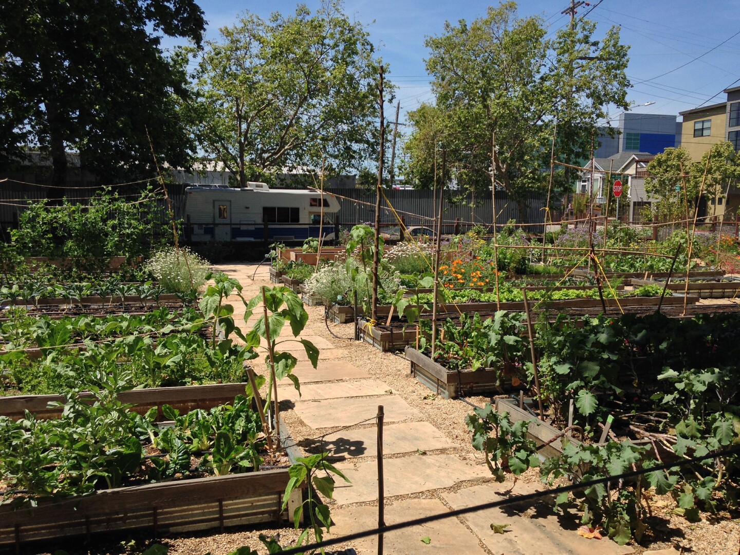 urban_gardens_landing_photo.jpg