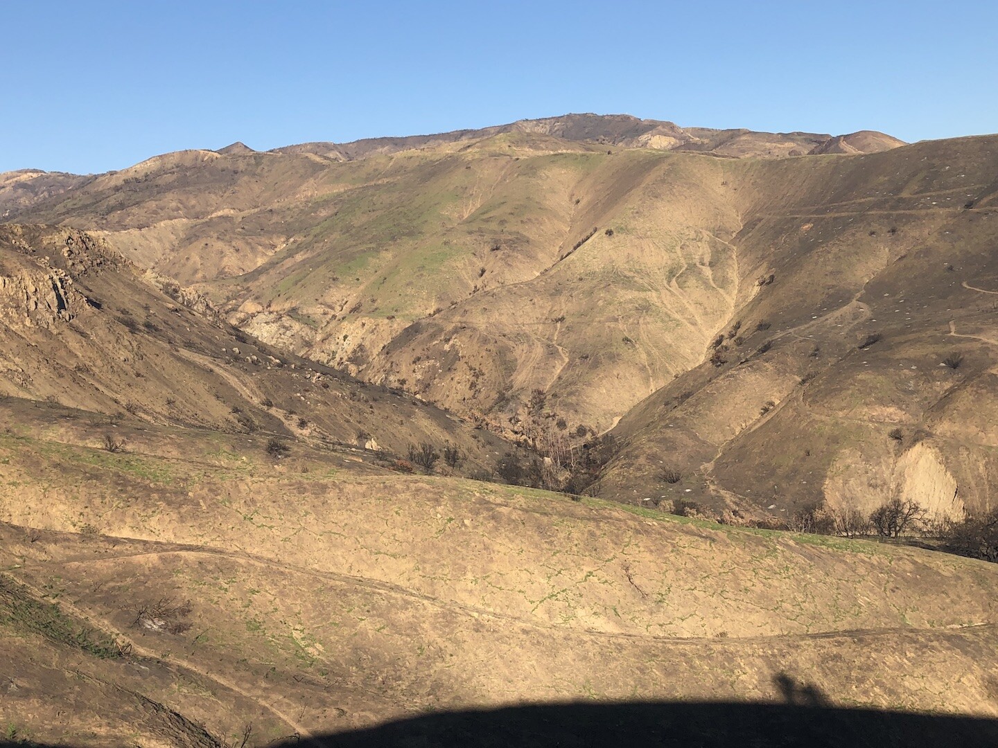 Hills in Malibu Canyon, completely bare weeks after Woolsey Fire