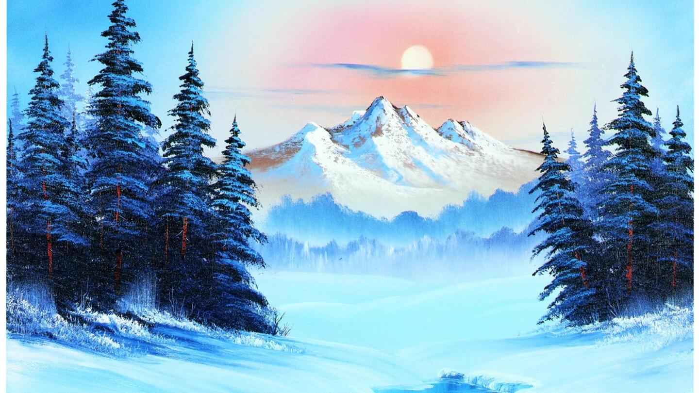 Winter Evergreens