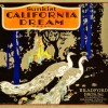Whose Dream?