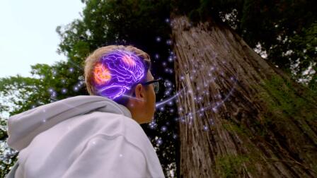 Tapping the Power of Awe