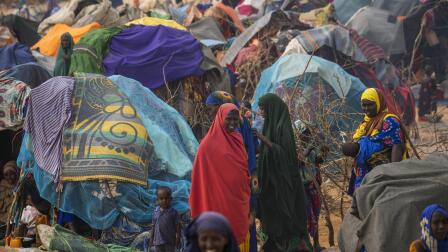 Cindy McCain on new role as head of UN World Food Programme