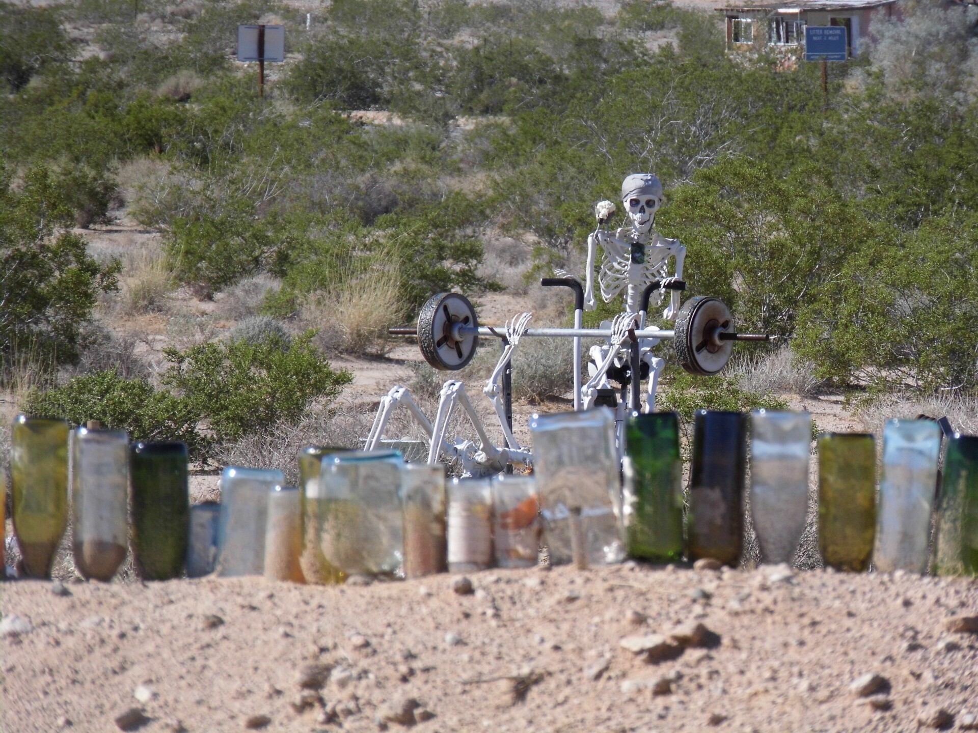 A skeleton lays on a bench press with its hands on the barbel above. Behind the skeleton is another one, sitting on a stationary bike. 