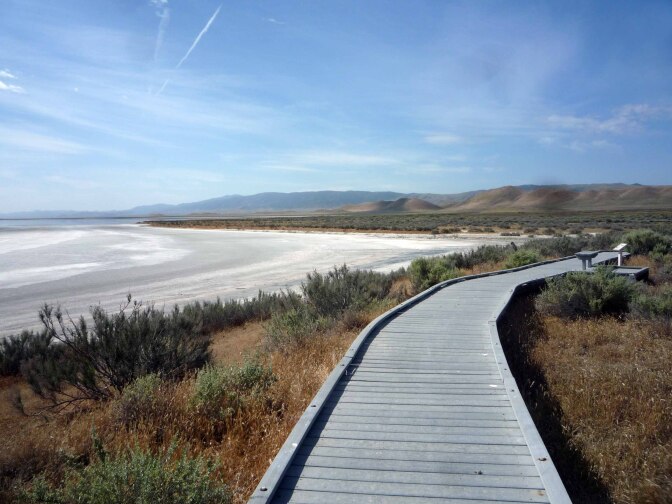 Hwy 58 Corrizo Plain (2)