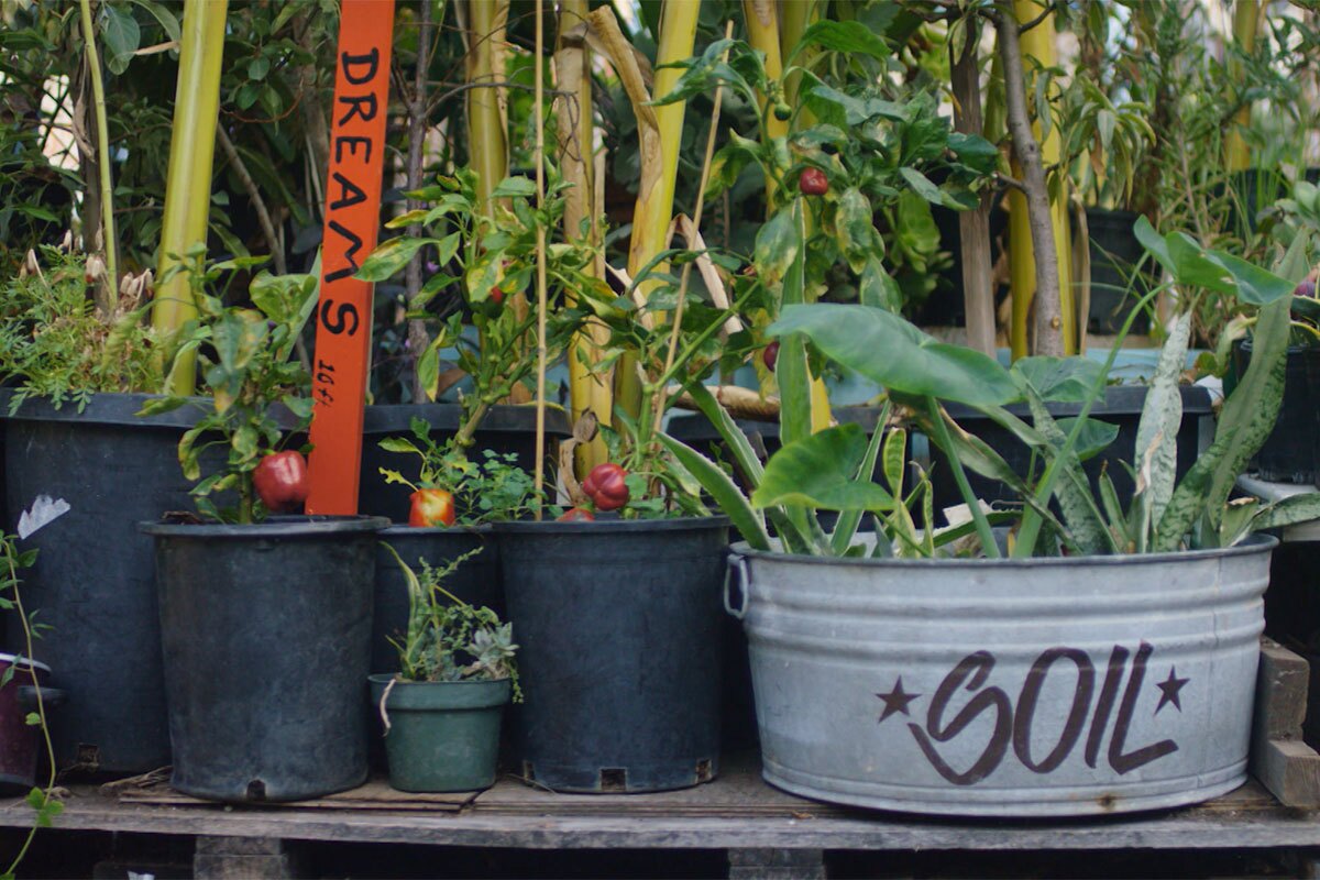 Pots and plants in Ron Finley's garden. | Still from "Broken Bread"