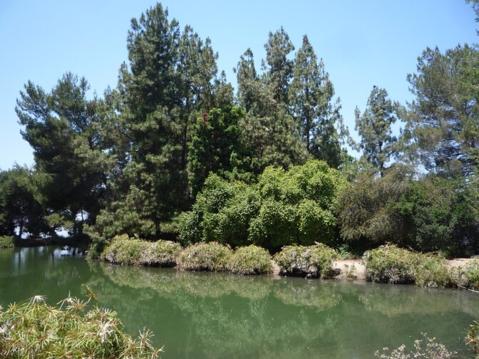 Debs Lake (2)