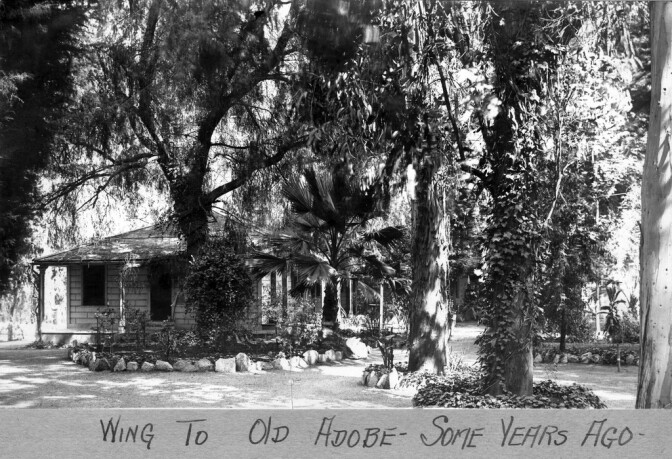 Southern California's first eucalypti, planted in 1865 by William Wolfskill, line the path to the Hugo Reid Adobe in this circa 1920 photo. Courtesy of the Arcadia History Collection, Arcadia Public Library.
