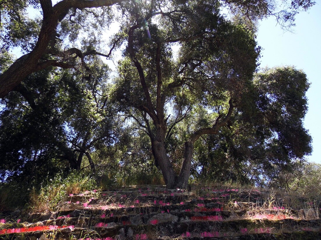 Peter Strauss Ranch
