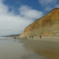 People walk along the beach at the Torrey Pines State Natural Reserve.