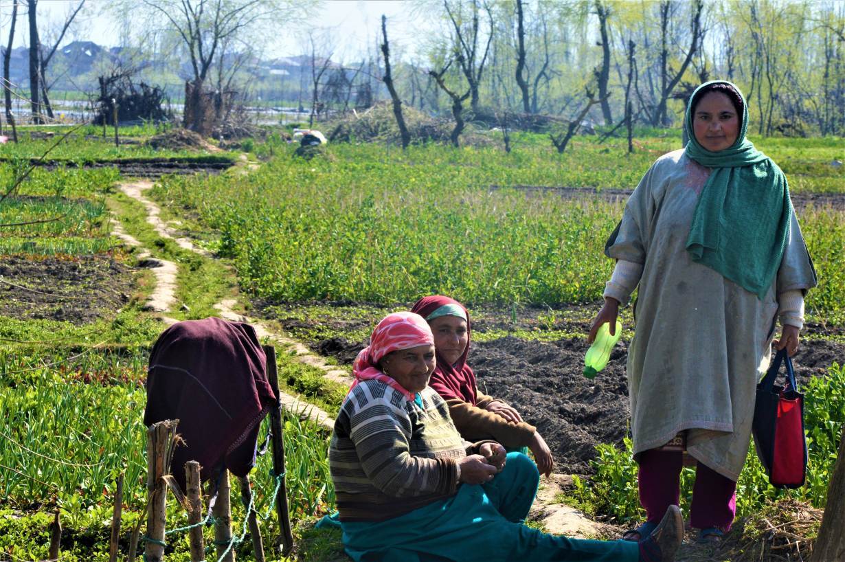 Kashmiri women work at their farm in Zunimura, near Srinagar, India, March 17, 2020. | Thomson Reuters Foundation/Athar Parvaiz