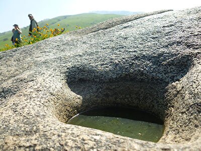 The Grapevine Canyon Settlement