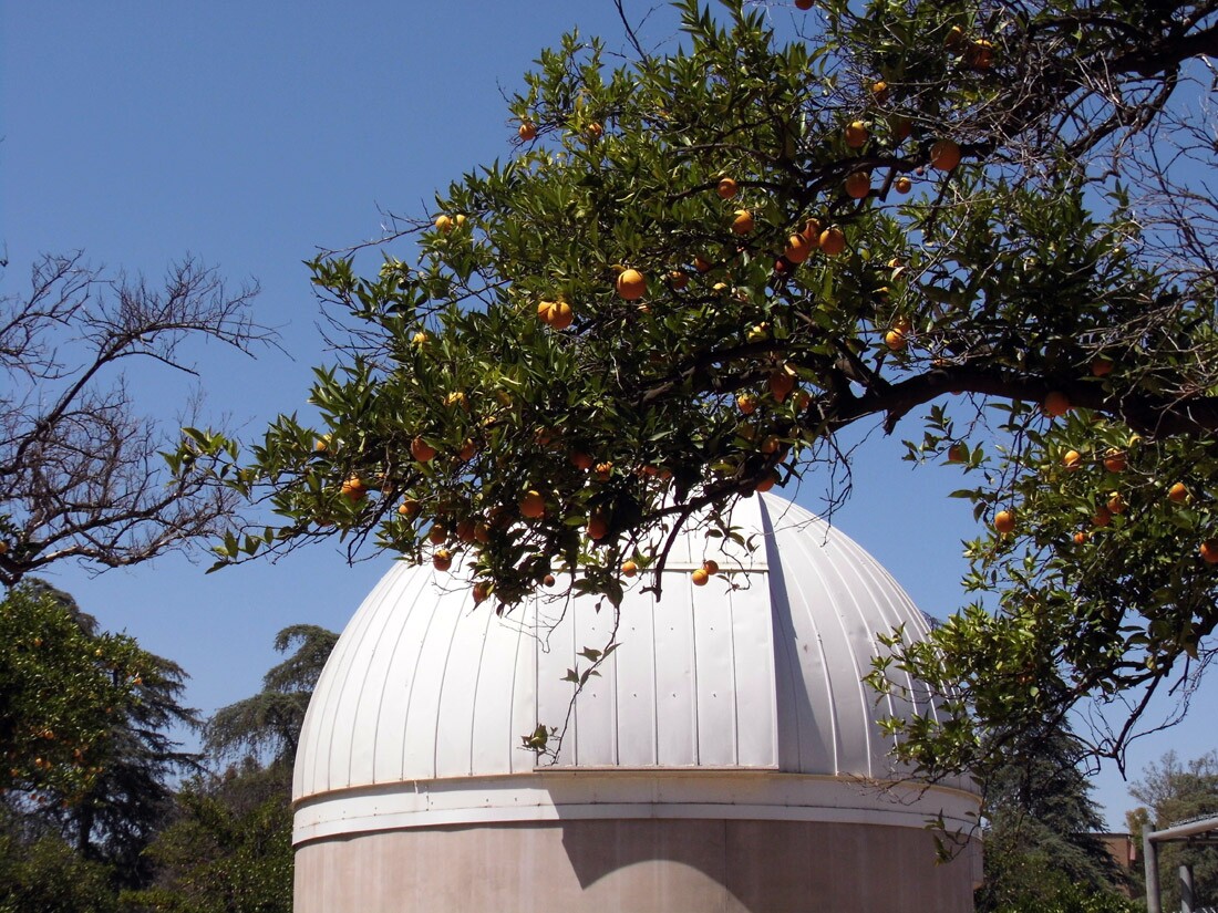 Orange Grove, Northridge