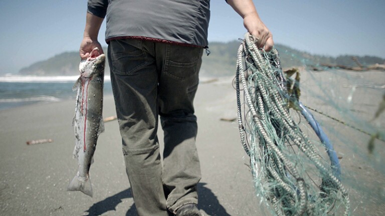 pergish-salmon-blood-10-19-16.jpg