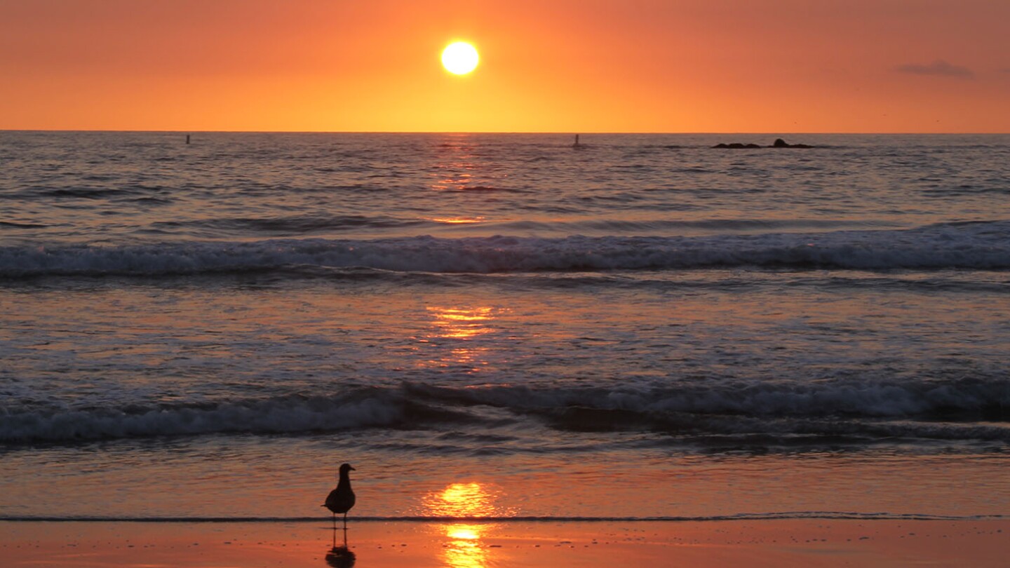 Illuminating Sunbeams in Santa Monica, California | Lynne Gilbert for Getty Images