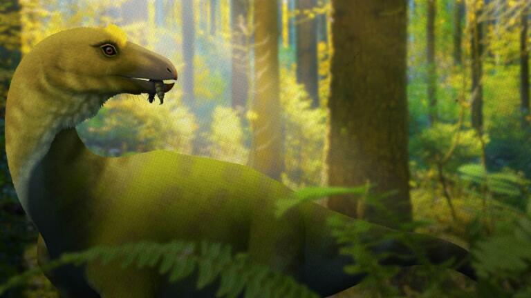 Did Dinosaurs' Extinction Give Us Fruit?