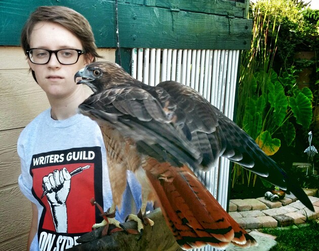 birdfest01.jpg