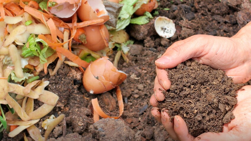 dirt