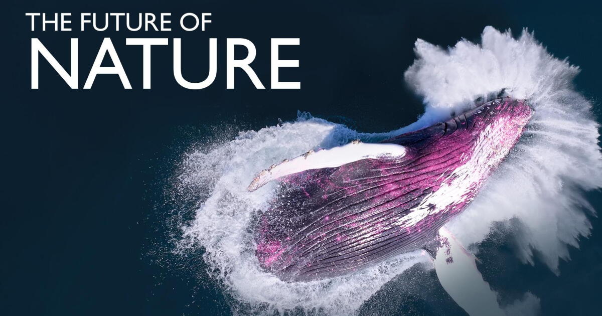Stream The Future of Nature Seasons & Full Episodes | PBS SoCal