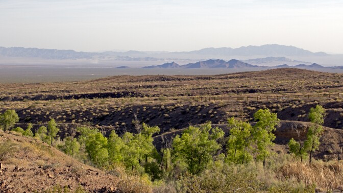 View of the Cadiz Valley from Bonanza Spring | Photo: Chris Clarke