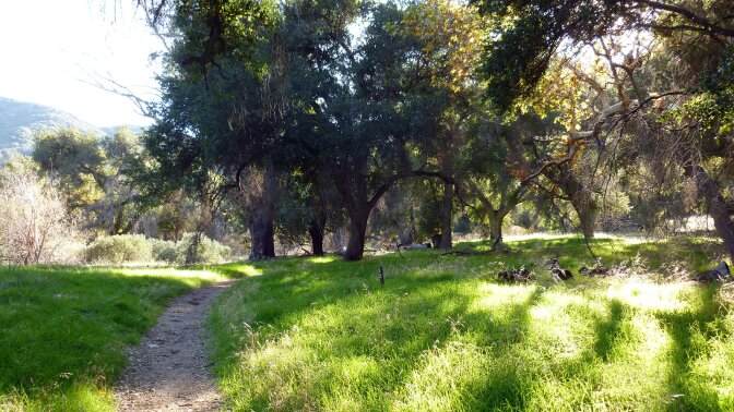 placerita canyon natural area