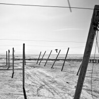 "Poles and Dirt Circle No. 1," infrared exposure. Salton Sea, CA. 2014. | Photo: Osceola Refetoff.