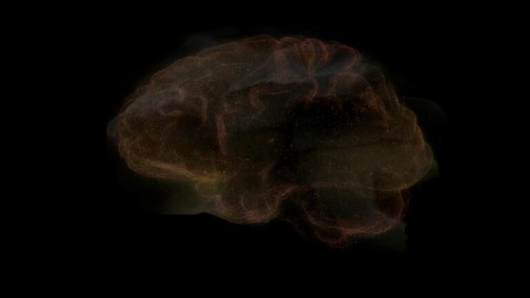 Episode 1 | How the Brain Creates Reality