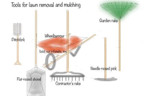 After The Lawn How To Remove Your Lawn Kcet After The Lawn How To Remove Your Lawn Kcet