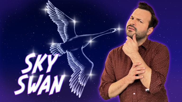 No Luck With Those Swans? | May 18 - May 24