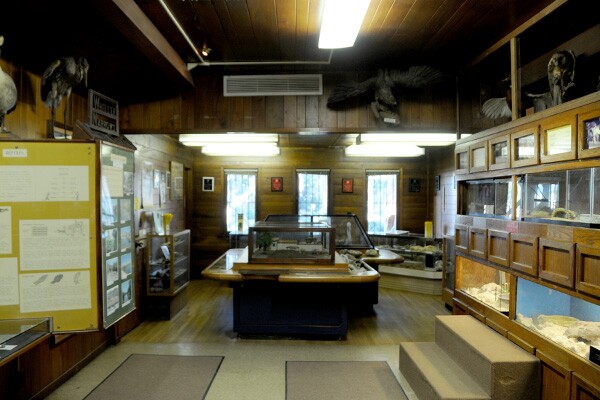 Stuffed animals, dusty display cases and hand-drawn maps give the Nature Center an old-timey, nostalgic air that many (but not all) find charming | Photo: Carribean Fragoza
