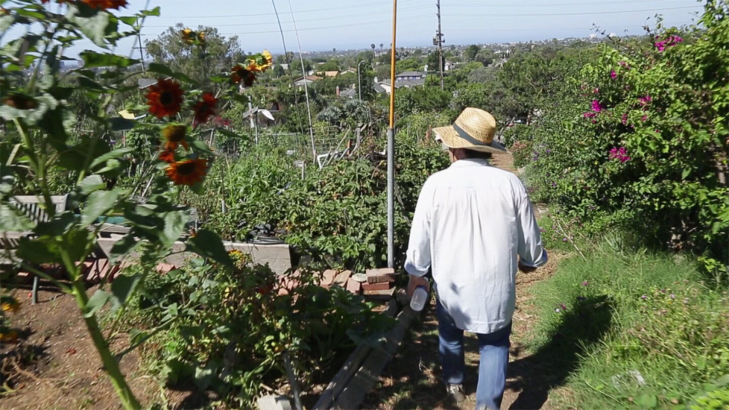 Ocean View Farms