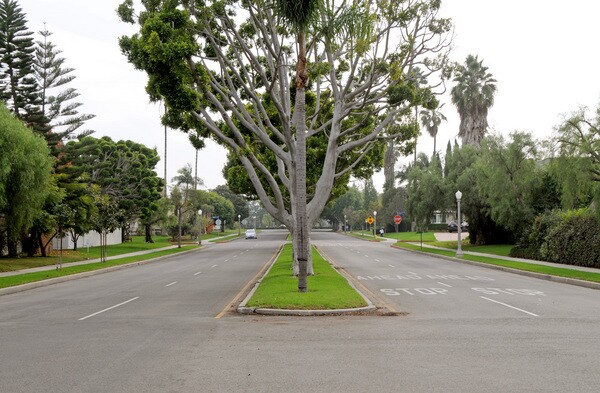 SORO_Beverlywood03-thumb-600x393-44641