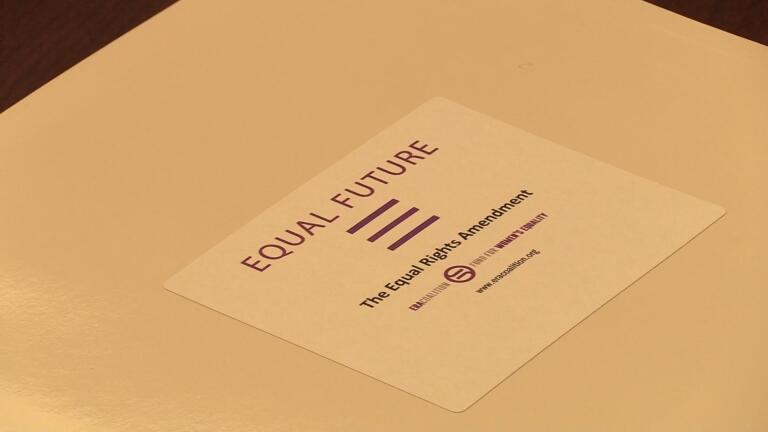 TTC Extra: The Historical ERA Congressional Hearing