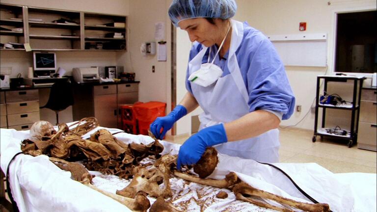 The Undocumented: Forensics Cannot Explain Why Mother and Da