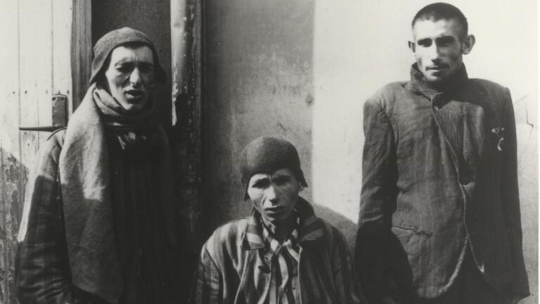 "Memory of the Camps" - Preview