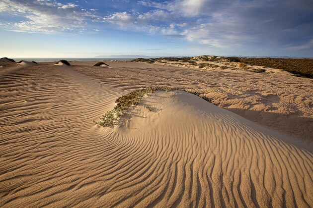 guadalupe-dunes-5-21-15-thumb-630x420-92901