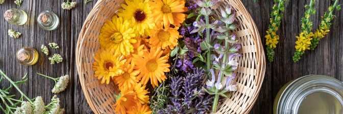 Fresh medicinal herbs and essential oils - ingredients to prepare a homemade skin product, top view. | iStock