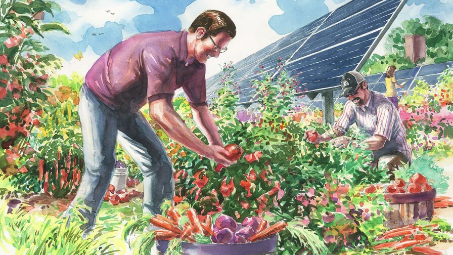 A ground view of the solar panels at Jack's Solar Garden. | Artwork courtesy of Jack's Solar Garden by artist Jeff Slemons