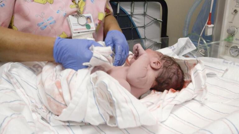 How to Have an American Baby (Preview)