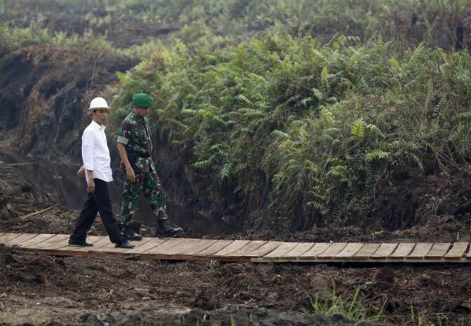 FILE PHOTO: Indonesian President Joko Widodo (L) inspects a newly built canal to prevent peatland fires in Pulang Pisau, east of Palangkaraya, central Kalimantan, October 31, 2015. | REUTERS/Darren Whiteside