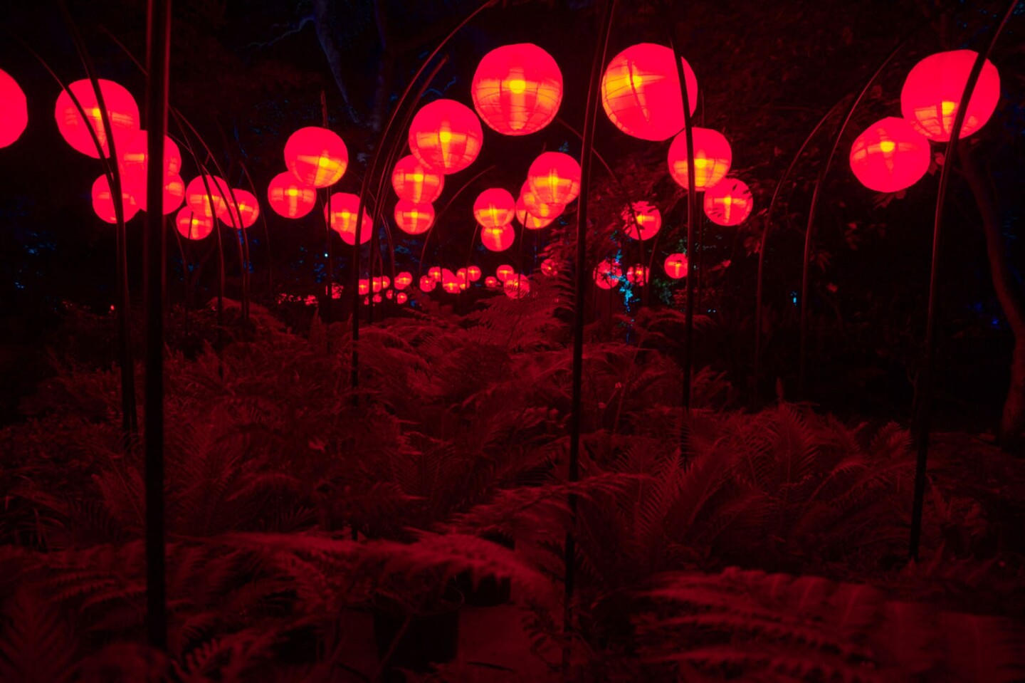 Descanso Gardens Enchanted Forest
