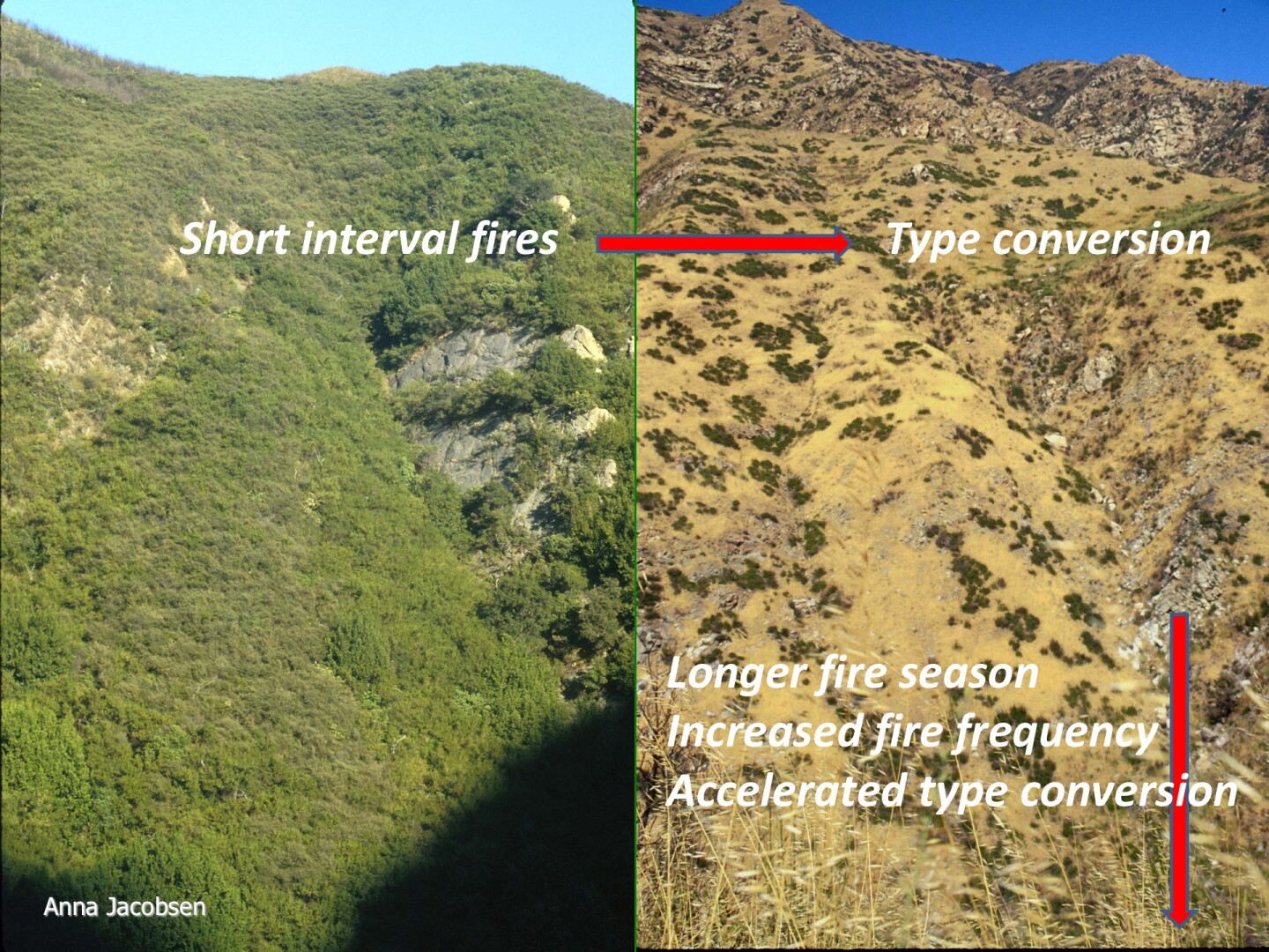 Map of Malibu Canyon Grassy Hills Type Conversion Comparison