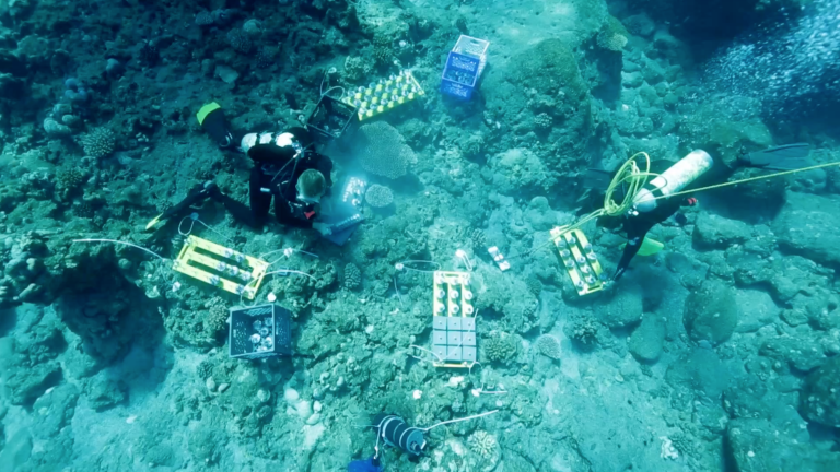 Maug’s Caldera: A Natural Laboratory - Trailer